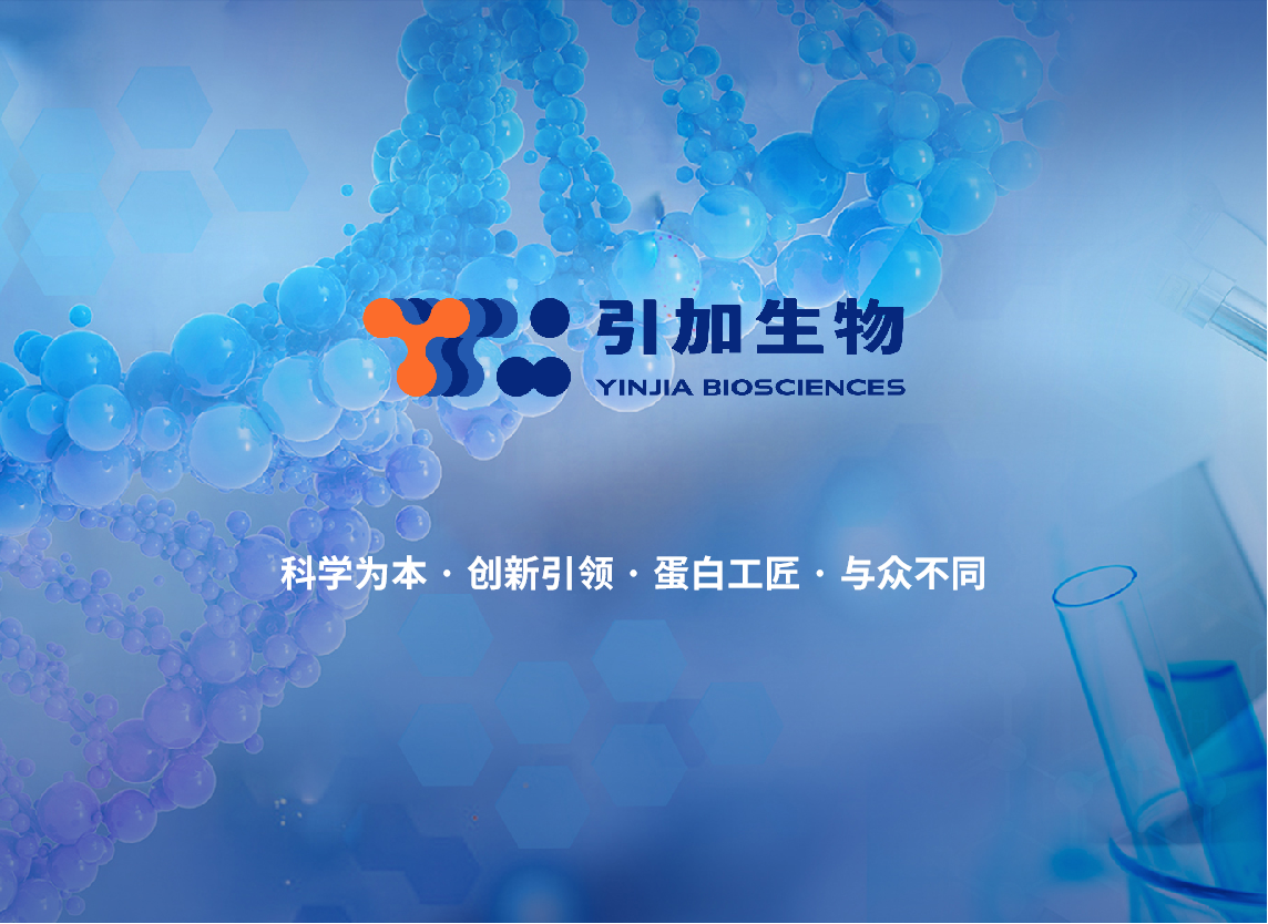 生物素（Biotin，可切割）快速偶聯(lián)試劑盒