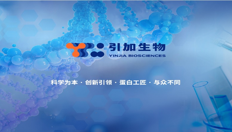 重組胰蛋白酶&人α-糜蛋白酶套裝