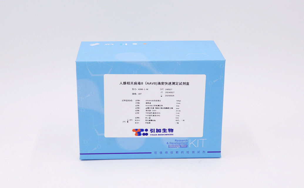 人腺相關病毒8（AAV8）滴度快速測定試劑盒