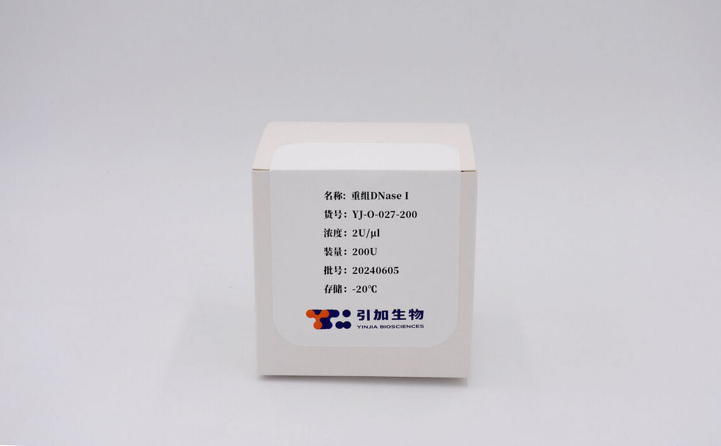 重組DNase I