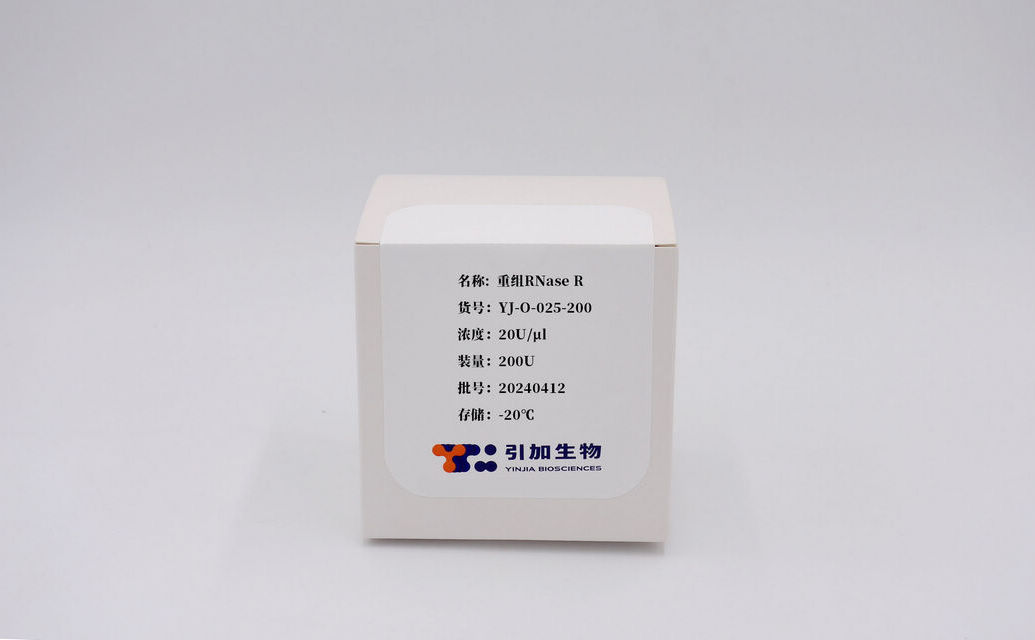 重組RNase R