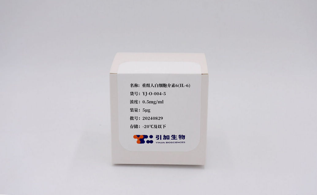 重組人白細胞介素6（IL-6）
