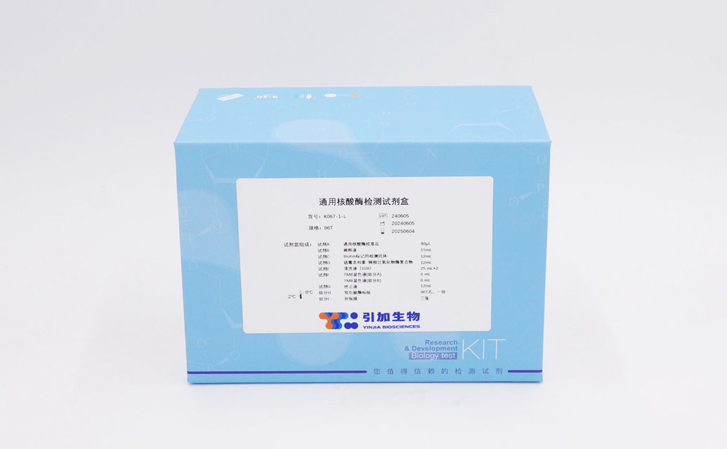 通用核酸酶檢測試劑盒