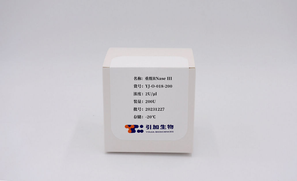 重組RNase III