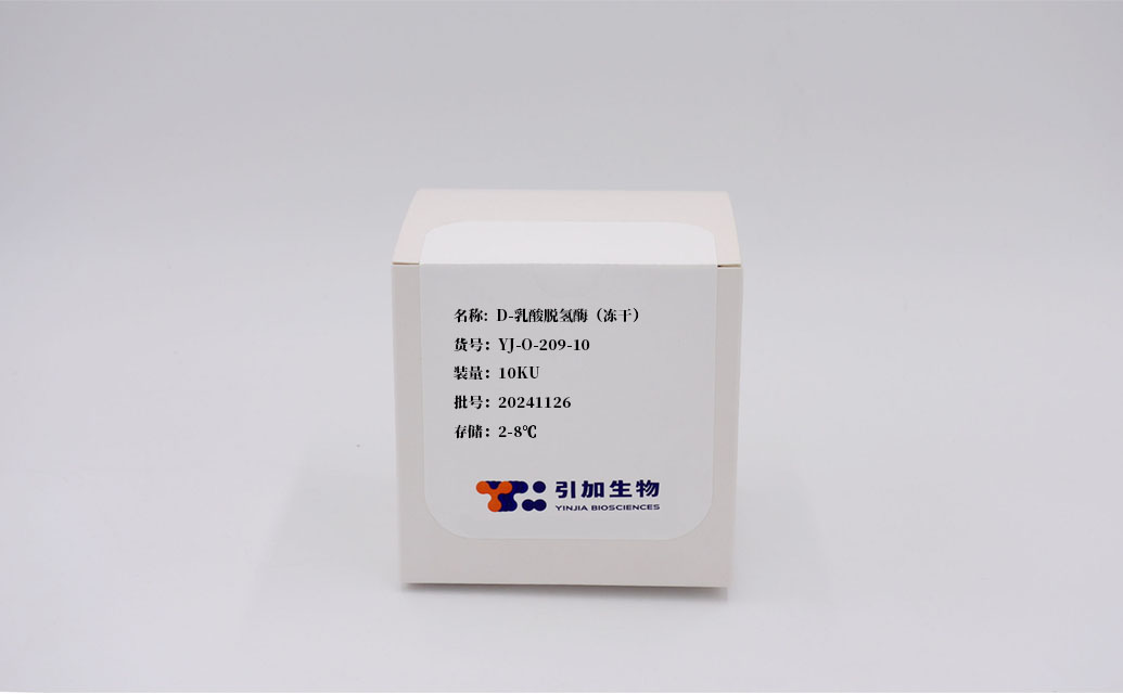 D-乳酸脫氫酶（凍干）