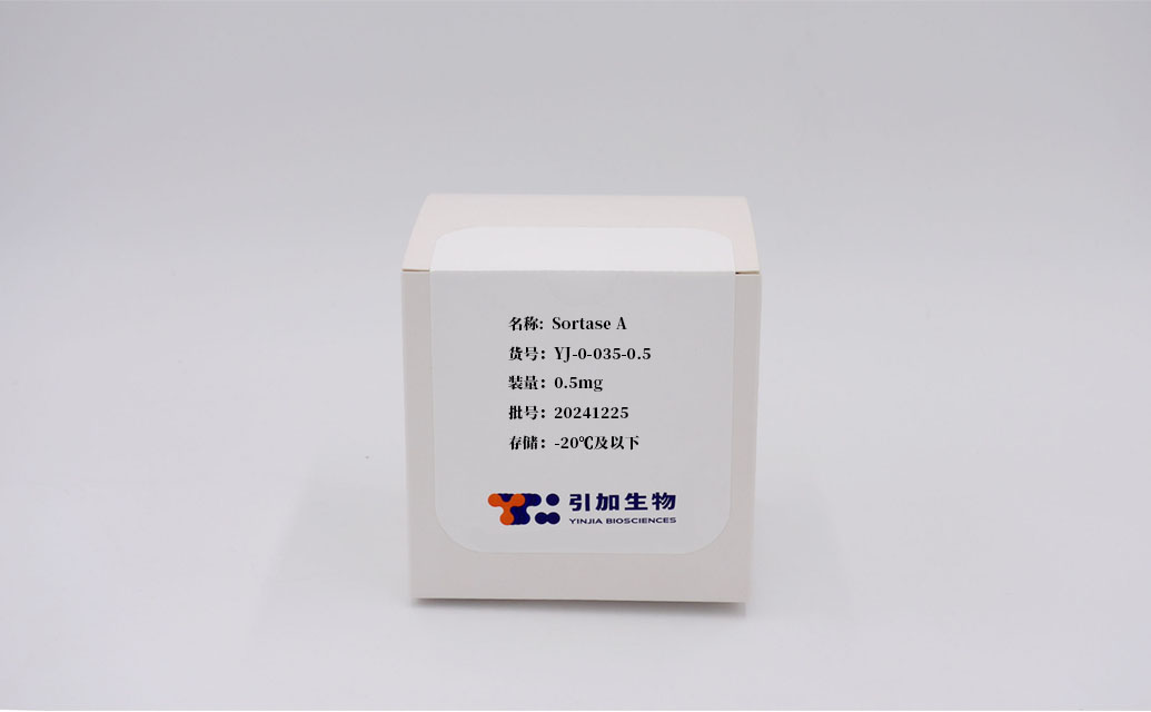 Sortase A