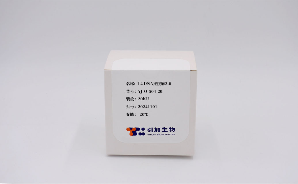 T4 DNA連接酶2.0