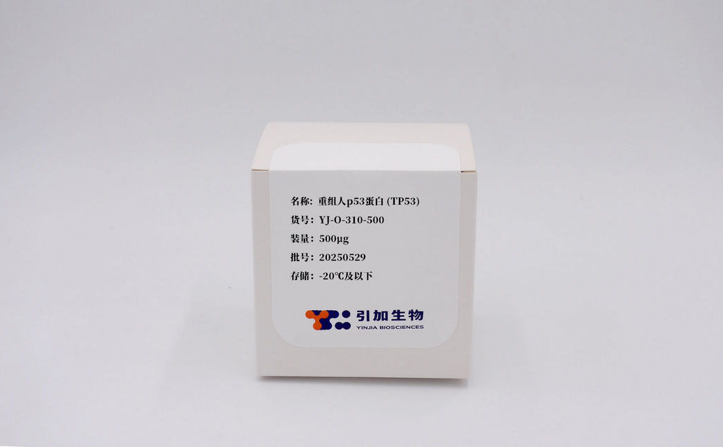 重組人p53蛋白 (TP53)