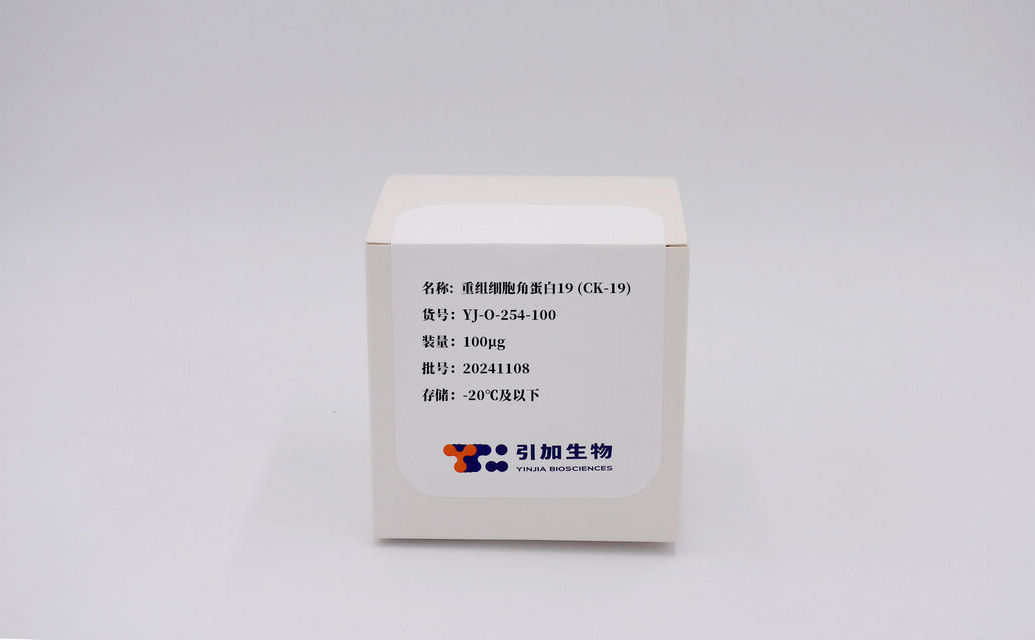 重組細(xì)胞角蛋白19 (CK-19)