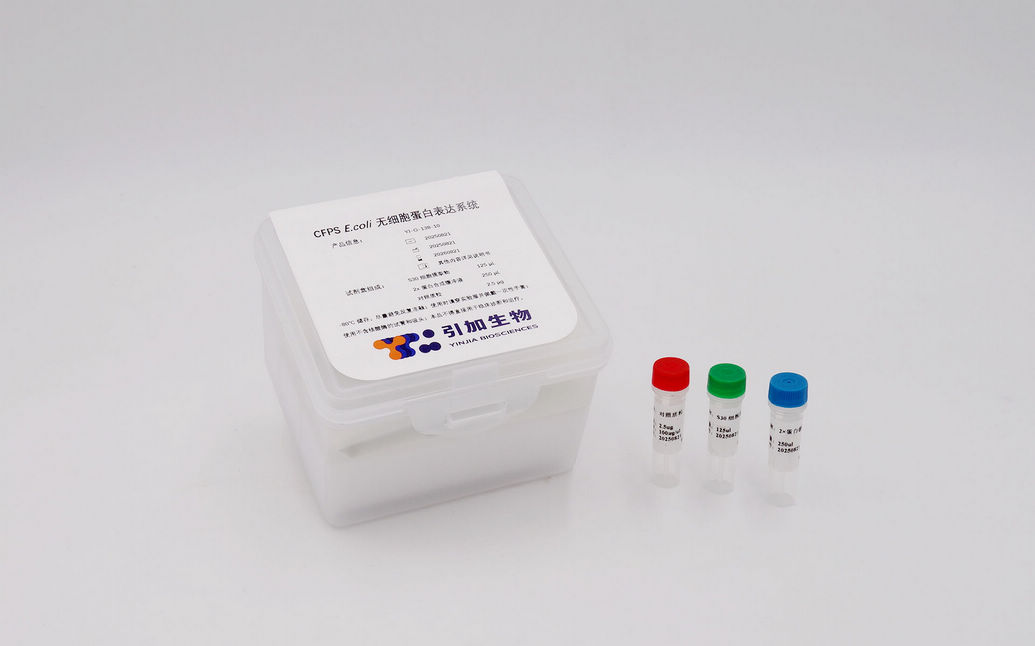 CFPS E.coli 無細胞蛋白表達系統(tǒng)