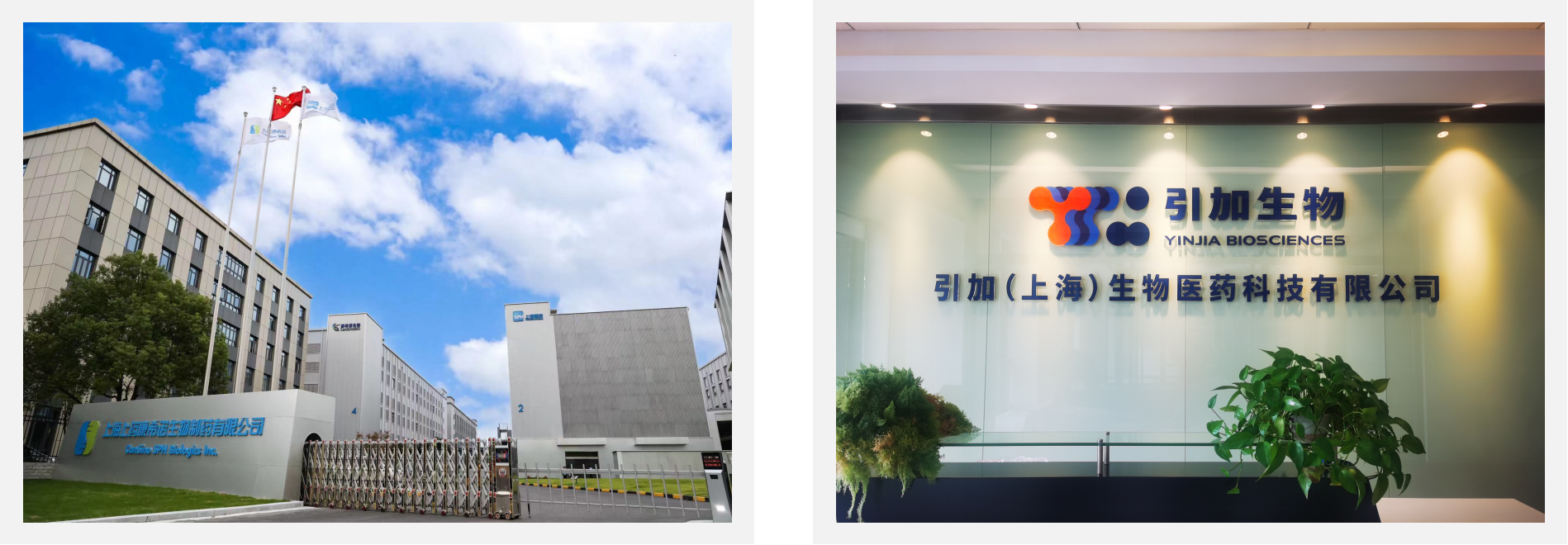 康希諾-5 康希諾-5