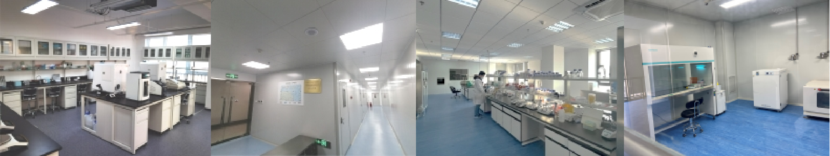 康希諾-2 康希諾-2